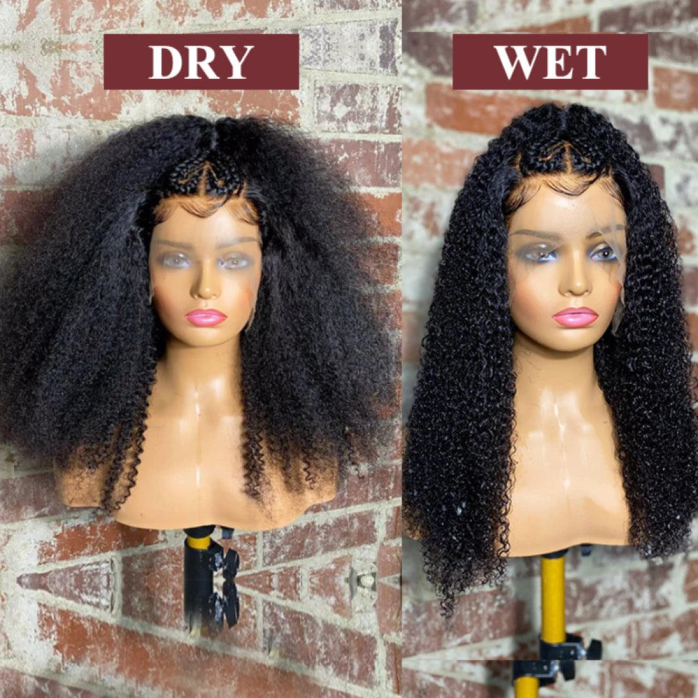 Custom Wig 13x5 Lace Frontal Afro Style with Braids Wig 20 Inches 250% Density